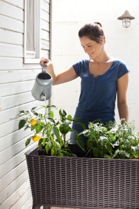 SAKSIJA ZA MINI BAŠTUEASY GROW 120L, VISKI BRAON - Img 2