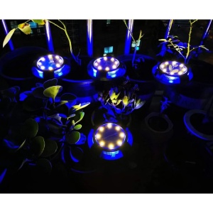 Solarna baštenska lampa - 4 kom. - Img 2