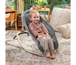 KIDS II INGENUITY LEZALJKA EVERY SEASON™ - WESLEY 16855 0-30m (MAX 18kg) - Img 2