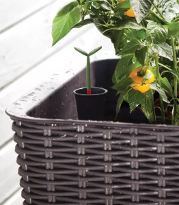 SAKSIJA ZA MINI BAŠTUEASY GROW 120L, VISKI BRAON - Img 5