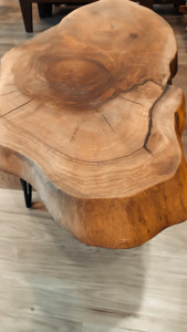 Klub sto Orah elipsa panj 60x142x40 cm Club table Walnut ellipse stump - Img 3