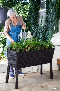 SAKSIJA ZA MINI BAŠTU EASY GROW 120L, GRAFIT - Img 2
