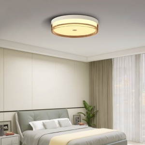 LED plafonjera 18W promenljiva boja svetla EL368 - Img 3