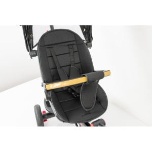 BIC.T18 TRIKE BLACK - Img 8