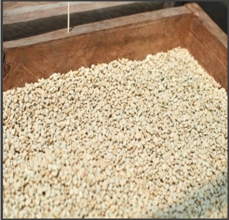 ECUADOR Finca San Luis Sidra Anaerobic Washed - Img 2