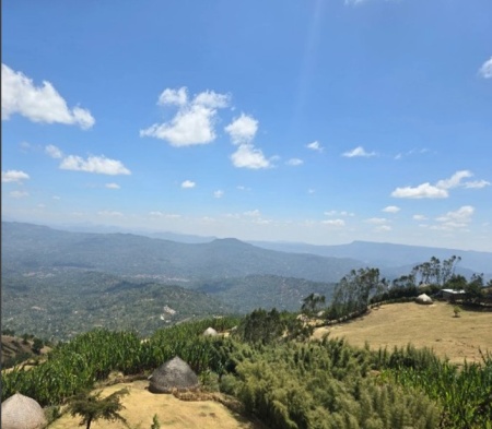 ETIOPIA Sidamo Alemayehu Hillo - Img 3