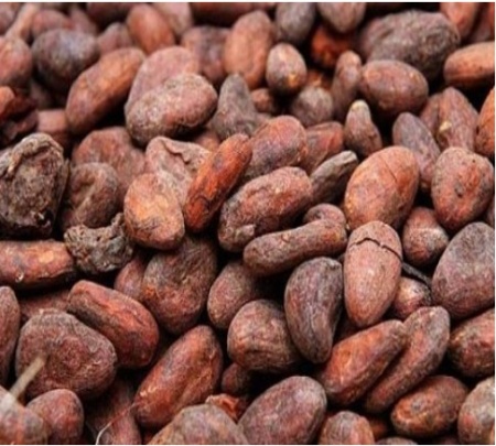 Artisanal Chocolate Bean to Bar - THAILAND Chantaburi Chaisutti Farm -GOLD WINNER @chochawards 2026 - Img 2