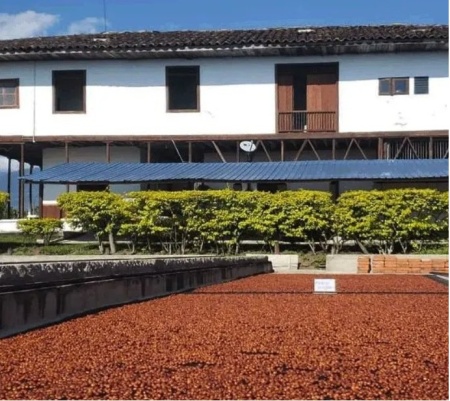 COLUMBIA Finca La Luisa Coco-Limón - Img 2