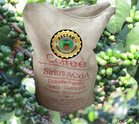 ETIOPIA Sidamo Shantawene Anaerobic Natural Teff - Cereal Ferment - Img 2