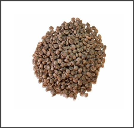 GUATEMALA Finca Pampojila Anaerobic Washed - Img 2