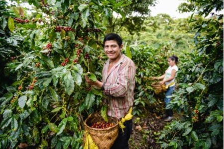 Nicaragua Jinotega La Esmeralda - Img 3