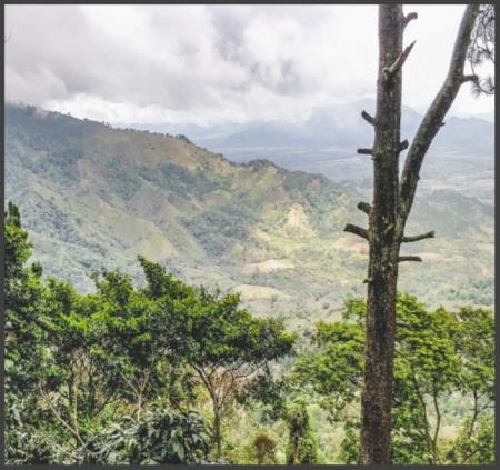 NICARAGUA Mozonte Finca La Esperanza - Img 2