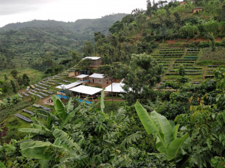 RWANDA Bugoyi Baho Red Bourbon - Img 4
