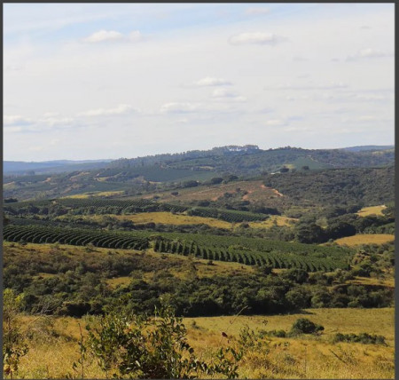 BRAZILIA Campo das Vertentes Honey - Img 4