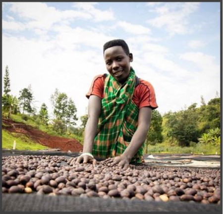 BURUNDI Masasu Natural - Img 4