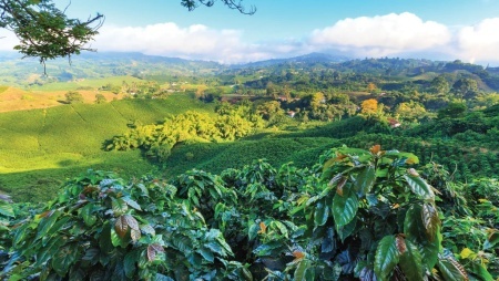Nicaragua Jinotega La Esmeralda - Img 2