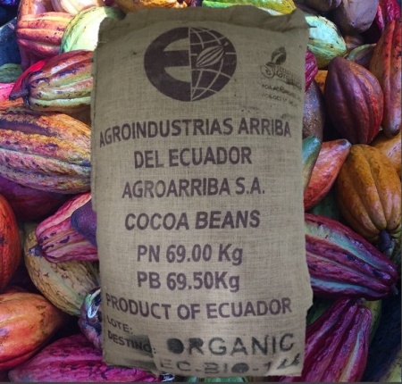 RAW COCOA BEANS - ECUADOR Hacienda Palo Santo - Img 3