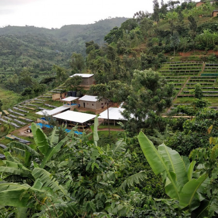 RWANDA Bugoyi Baho Red Bourbon - Img 4