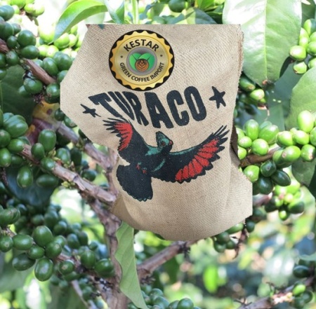 BURUNDI Turaco Kayanza - Img 4
