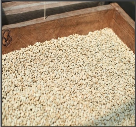 ECUADOR Finca San Pablo Anaerobic Washed - Img 2