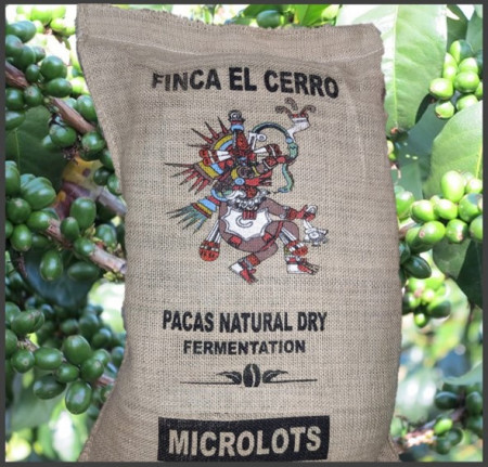EL SALVADOR Finca El Cerro Pacas Natural Dry Fermentation - Img 4