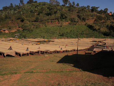 ETHIOPIA Sidamo Aletawendo - Img 4