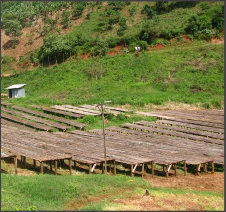 ETIOPIA Sidamo Adama Gr 2 - Img 5