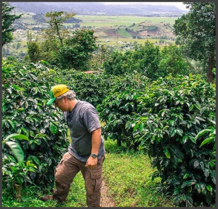PANAMA Chiriqui Carmen Estate - Img 2
