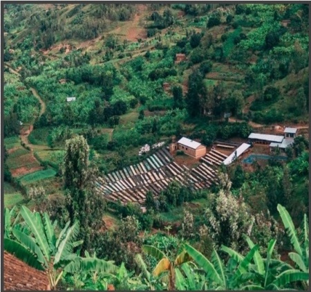 RWANDA Humure Abishyizehamwe - Img 2