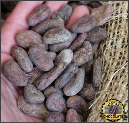 CACAO Boabe Crude - VENEZUELA Puerto Cambello Patanemo - Img 4
