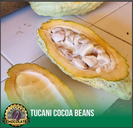 Ciocolata Artizanala Bean to bar - VENEZUELA Sur del Lago Tucani - BRONZE WINNER @Chocawards - Img 4