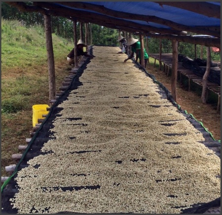 ETIOPIA Sidamo Adama Gr 2 - Img 2
