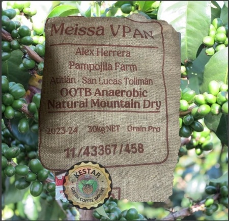 GUATEMALA Finca Pampojila Anaerobic Natural +300H - Img 3