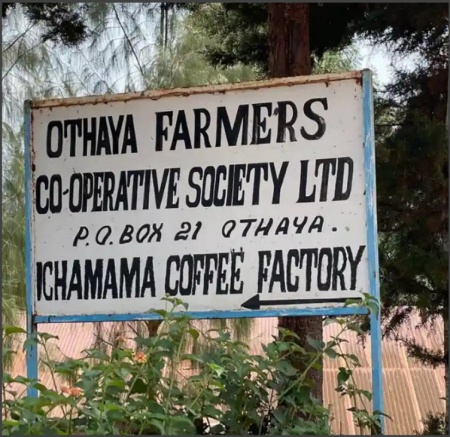 KENYA Nyeri Ichamama Natural - Img 4