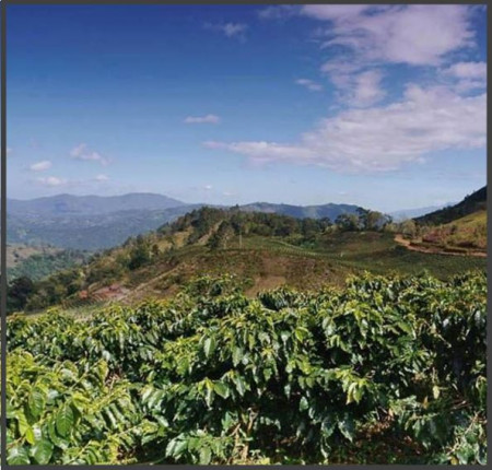 Republica Dominicana Finca Ibonna - Img 2