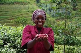 RWANDA Muzo Honey - Img 2