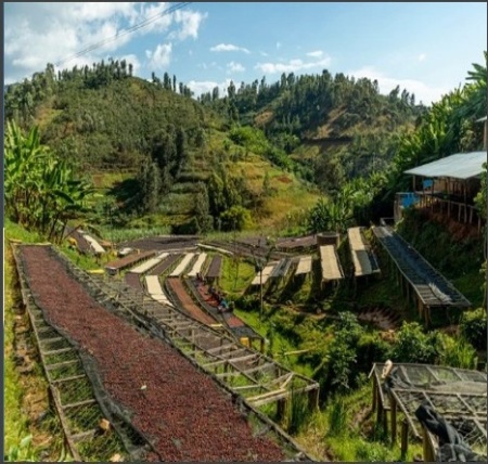 RWANDA Nyamasheke Akagera - Img 2