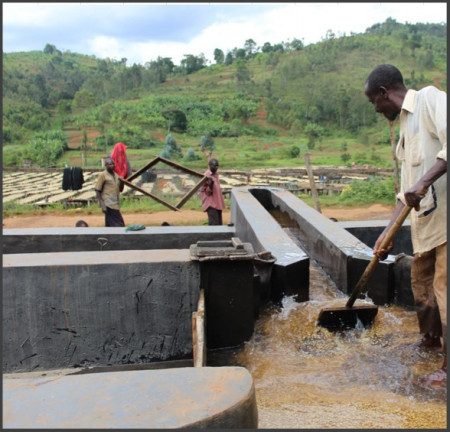 BURUNDI Yandaro Kayanza - Img 3