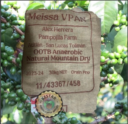 GUATEMALA Finca Pampojila Anaerobic Natural - Img 4