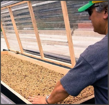 PANAMA Chiriqui Carmen Estate - Img 4