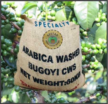 RWANDA Bugoyi Baho Red Bourbon - Img 6