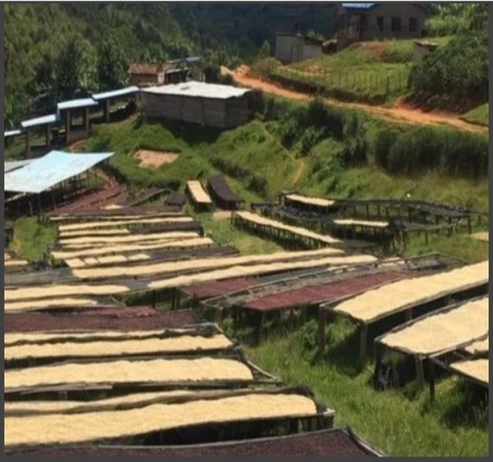RWANDA Huye Simbi - Img 4