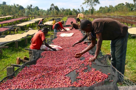 RWANDA Ngoma Natural - Img 3
