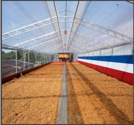 COSTA RICA Finca Las Lajas Honey - Img 3