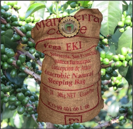 EL SALVADOR Finca San Francisco Anaerobic Natural 88.5 pc - Img 4