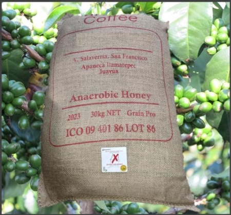 EL SALVADOR Finca San Francisco Geisha Anaerobic Honey - Img 5