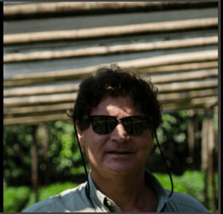GUATEMALA Finca Pampojila - Img 4
