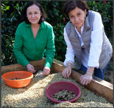 NICARAGUA Finca Bethania Maracaturra Washed - Img 3