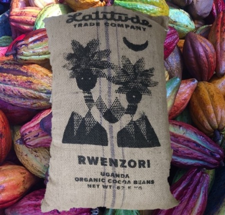 RAW COCOA BEANS - UGANDA Rwenzori - Img 3