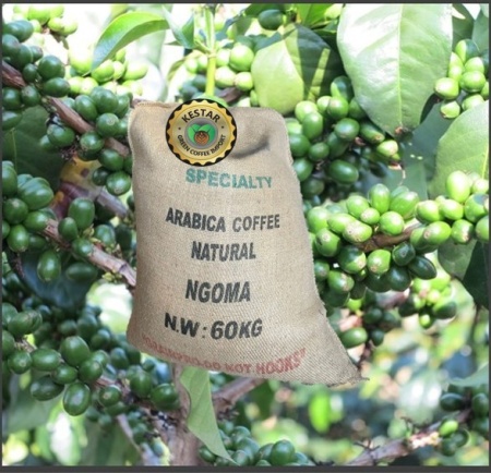 RWANDA Ngoma Natural - Img 4